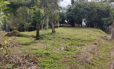 VENTA de LOTES en PEREIRA