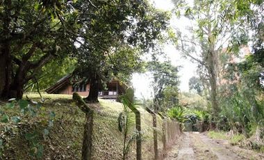 VENTA de LOTES en PEREIRA