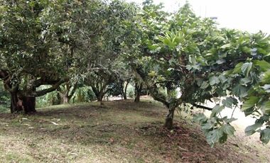 VENTA de LOTES en PEREIRA