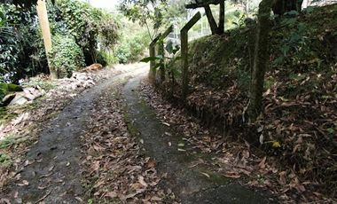 VENTA de LOTES en PEREIRA