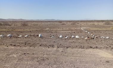 Venta de Terreno en San Felipe Muy Cerca de La Playa Km 51.65