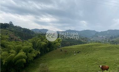 Lote en venta, Dosquebradas, Risaralda