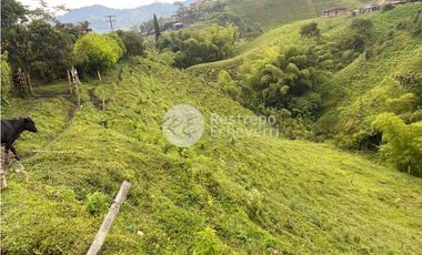 Lote en venta, Dosquebradas, Risaralda
