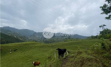 Lote en venta, Dosquebradas, Risaralda