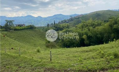 Lote en venta, Dosquebradas, Risaralda