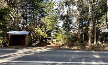 Parcela en Venta en Venta Parcela Cañete 20000 mt Sin Comisión