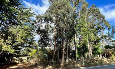 Parcela en Venta en Venta Parcela Cañete 20000 mt Sin Comisión