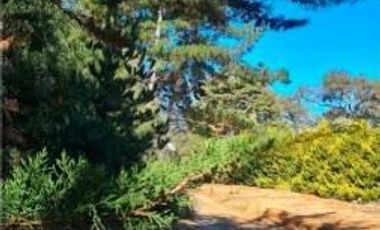 Parcela en Venta en Venta Parcela Cañete 20000 mt Sin Comisión