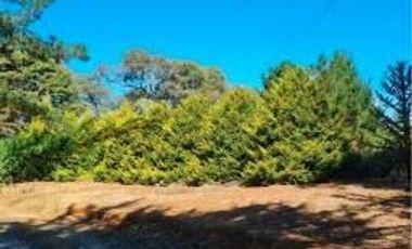 Parcela en Venta en Venta Parcela Cañete 20000 mt Sin Comisión