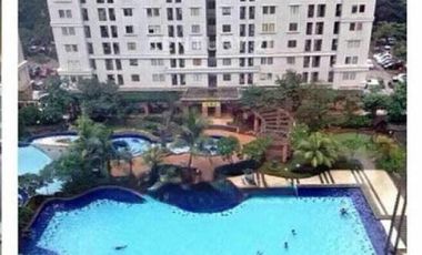 Apertement Green Palace