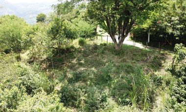 LOTE INDUSTRIAL Y DE USO MIXTO EN COPACABANA