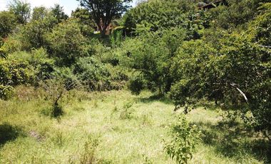 LOTE INDUSTRIAL Y DE USO MIXTO EN COPACABANA