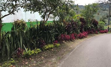 VENTA de FINCAS en PEREIRA