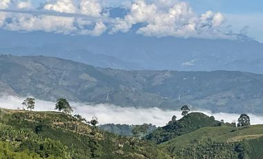 VENTA de FINCAS en PEREIRA