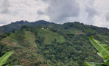VENTA de FINCAS en PEREIRA