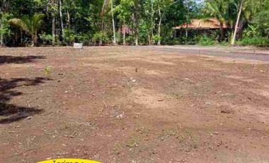 Kavling Luasan Ideal Bangun Rumah: Dekat SMPN 2 Bojong-Pekalongan