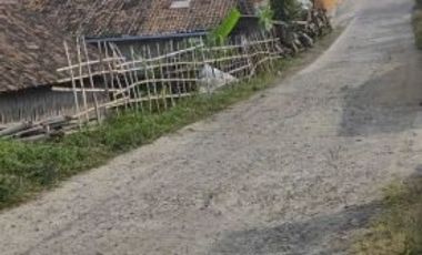 Tanah Matang Exs Budidaya Jamur Pinggir Jalan Desa Pari Cisarua Bandung Barat | DIANELSA
