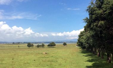 Vendo Rancho en Villa Victoria, Méx