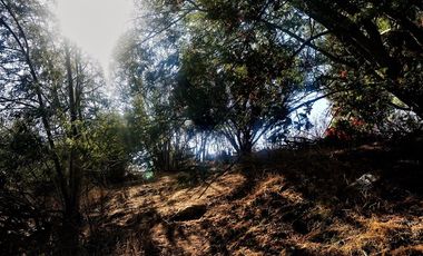 Sitio en Venta en Belloto Norte - Quilpué.