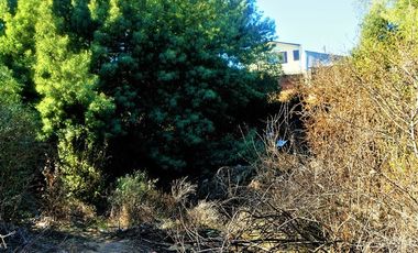 Sitio en Venta en Belloto Norte - Quilpué.