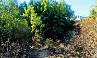 Sitio en Venta en Belloto Norte - Quilpué.