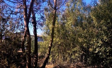 Sitio en Venta en Belloto Norte - Quilpué.