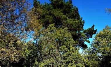 Sitio en Venta en Belloto Norte - Quilpué.