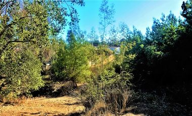 Sitio en Venta en Belloto Norte - Quilpué.