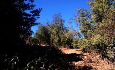 Sitio en Venta en Belloto Norte - Quilpué.