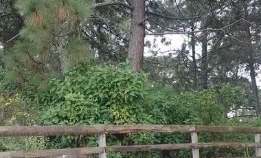 TERRENO EN VENTA EN MAZAMITLA