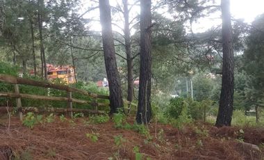TERRENO EN VENTA EN MAZAMITLA