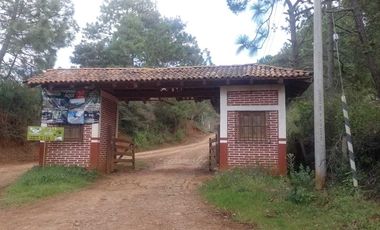TERRENO EN VENTA EN MAZAMITLA