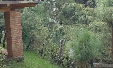 TERRENO EN VENTA EN MAZAMITLA
