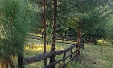 TERRENO EN VENTA EN MAZAMITLA