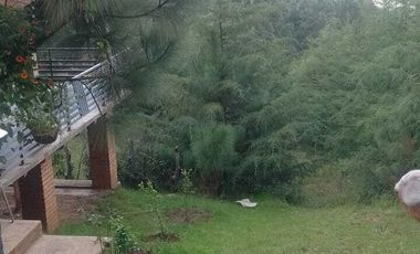 TERRENO EN VENTA EN MAZAMITLA
