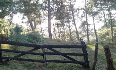 TERRENO EN VENTA EN MAZAMITLA