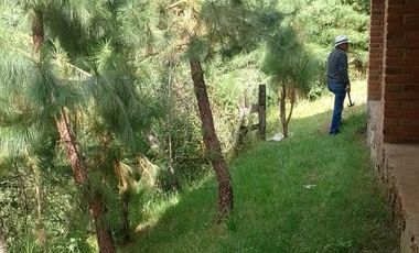 TERRENO EN VENTA EN MAZAMITLA