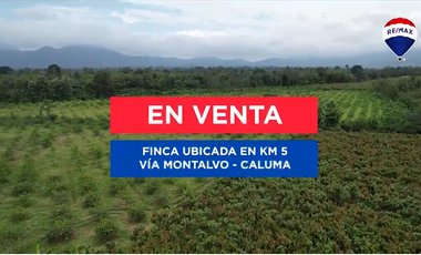 EN VENTA HACIENDA DE 47.5 HECTAREAS en Km. 5 Vía Montalvo – Caluma