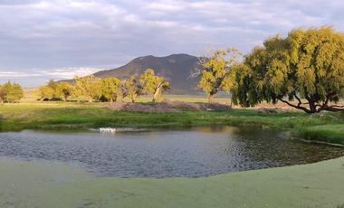 HACIENDA PRECIOSA Y SEÑORIAL en excelentes condiciones.