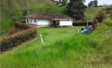 Venta finca La Unión Antioquia, 36.995 mts, agrícola, $550 millones