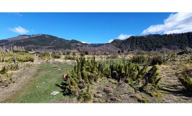 Terrenos zona urbana Malalcahuello