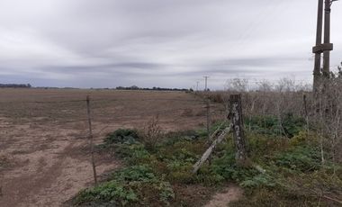 Campo AgrÃ­cola sobre Ruta 191- 7,5 HectÃ¡reas - Pueblo Doyle