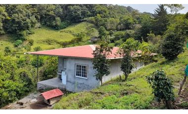 VENDO FINCA DE 6HECTAREAS EN CERRO PUNTA