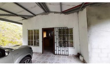 VENDO FINCA DE 6HECTAREAS EN CERRO PUNTA