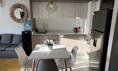 Departamento en arriendo Maestra Lidia Recoleta