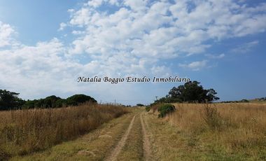 2 LOTES en ARENAS de Oro (MIRAMAR) de 10 x 40