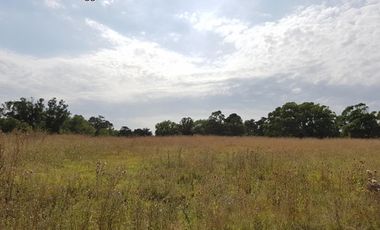 2 LOTES en ARENAS de Oro (MIRAMAR) de 10 x 40
