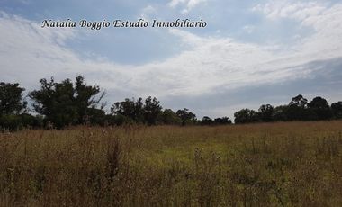 2 LOTES en ARENAS de Oro (MIRAMAR) de 10 x 40