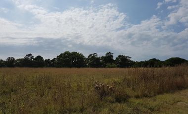 2 LOTES en ARENAS de Oro (MIRAMAR) de 10 x 40