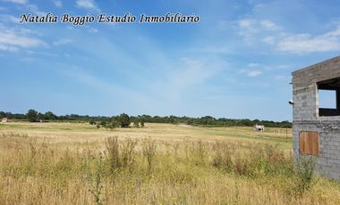 2 LOTES en ARENAS de Oro (MIRAMAR) de 10 x 40